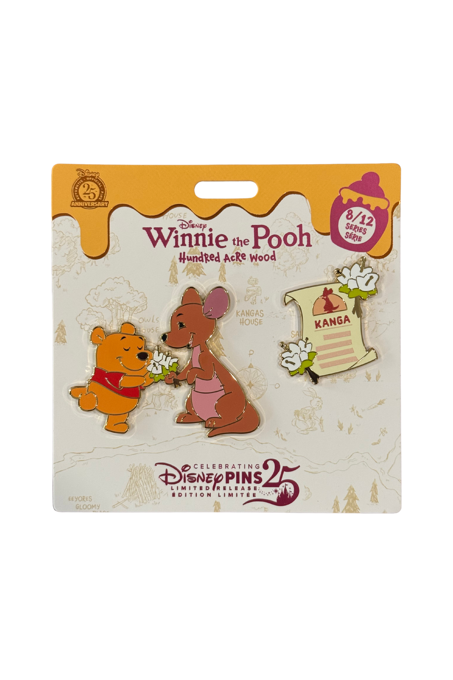 Winnie the Pooh Hundred Acre Wood 8/12 J21