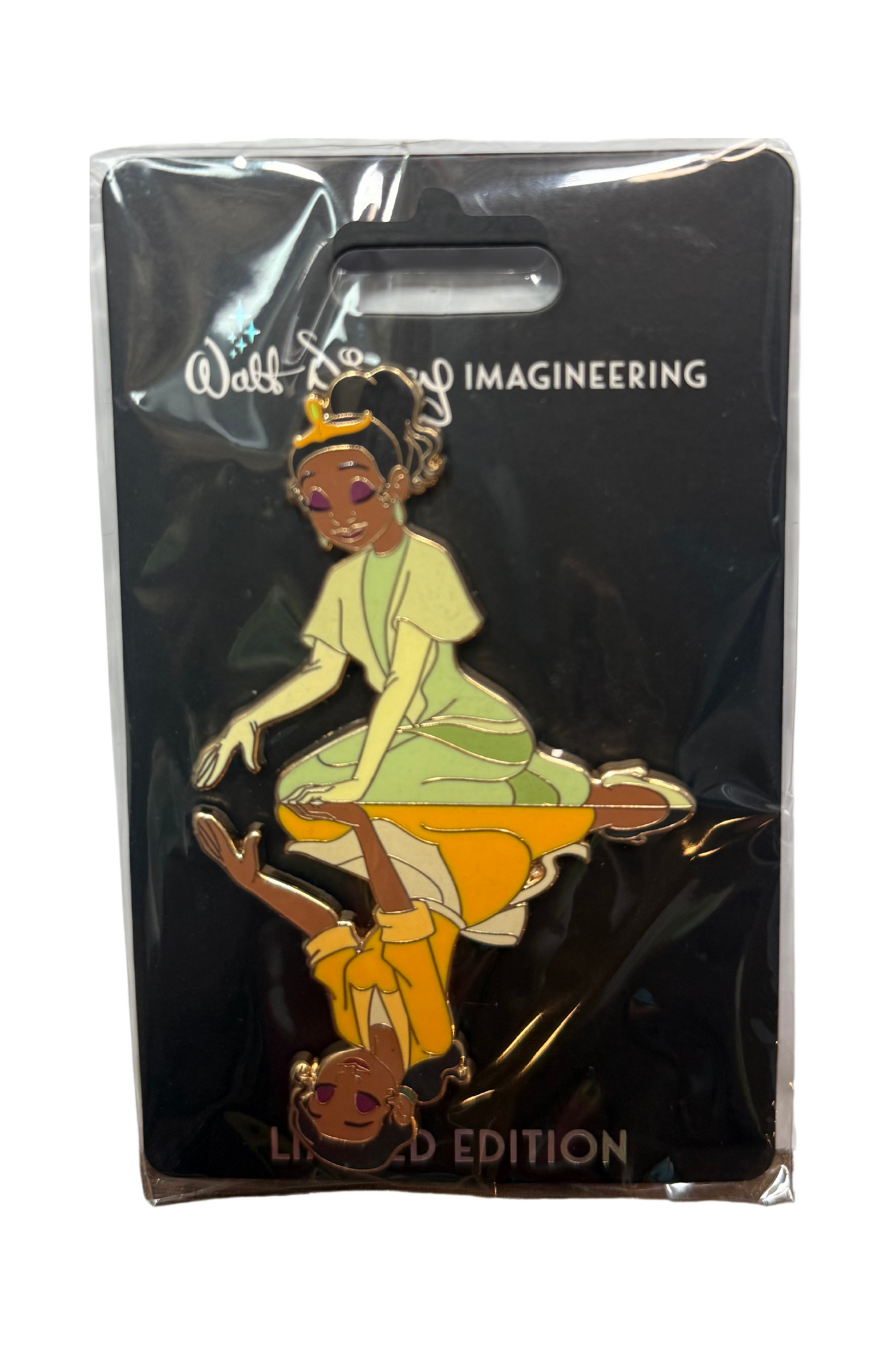 Princess Tiana Reflection