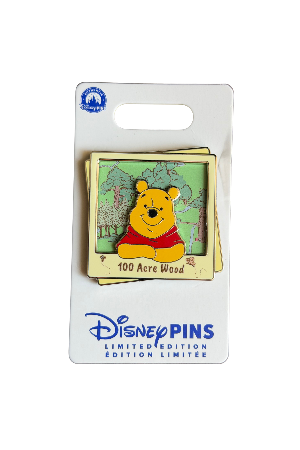 100 Acre Wood Polaroids Disney Destinations J61