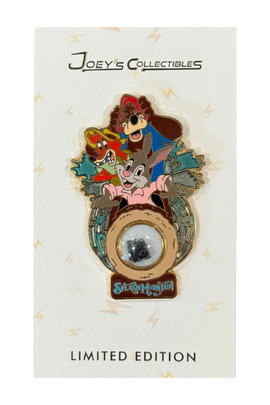 Splash Mountain A Piece of Disney History J24