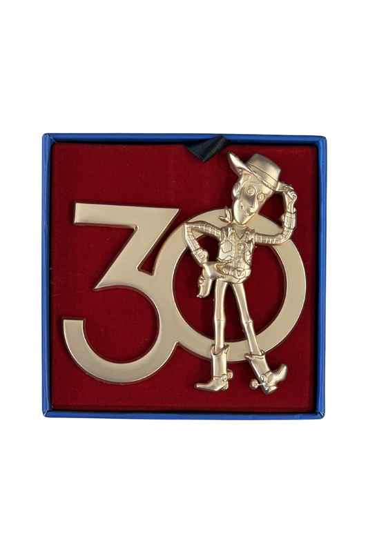 Woody Toy Story 30 Years & Beyond J41