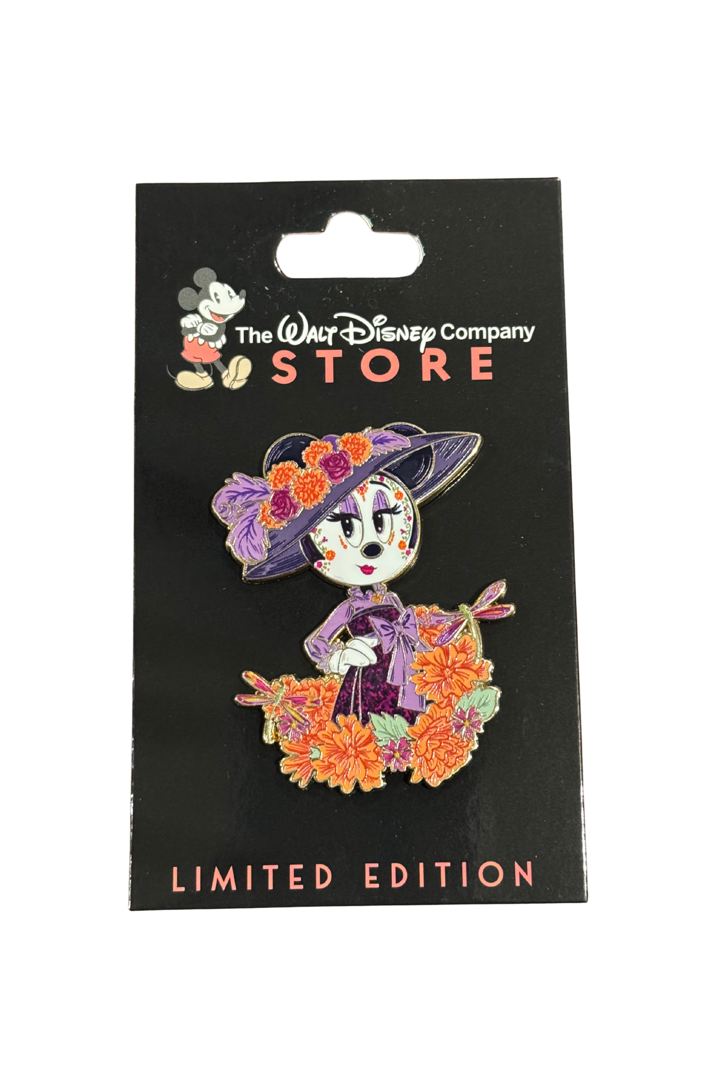 Minnie Dia De Los Muertos J56