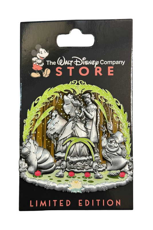 Princess and the Frog Water Fountains Series J21